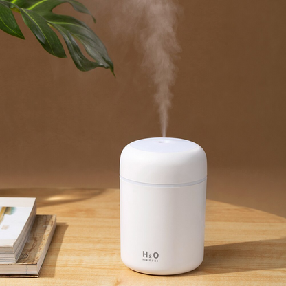 Air Humidifier and Sprayer