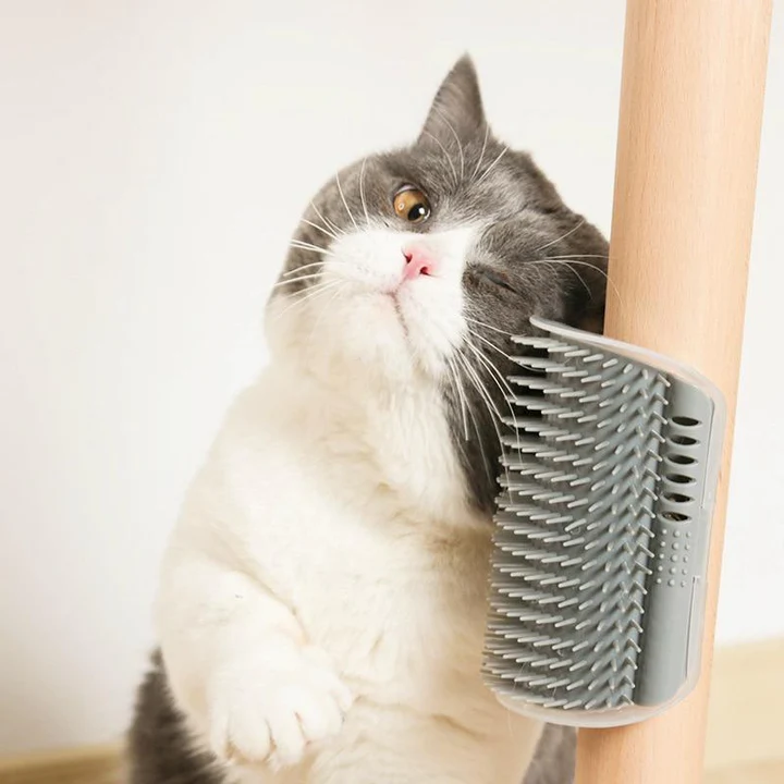 Self-Massaging Brush for Removing Fur for Cats